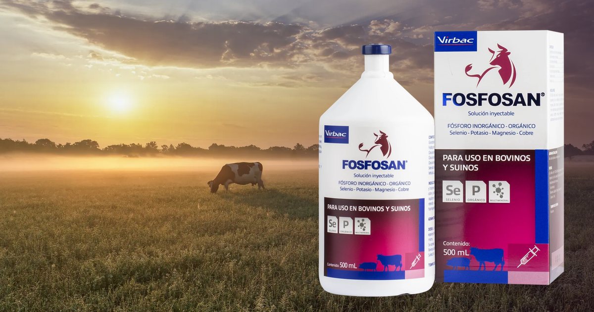 fosfosan-og.jpg